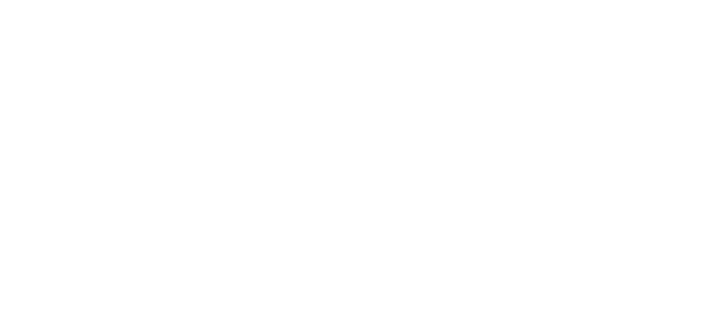 SMOG helmet & wings